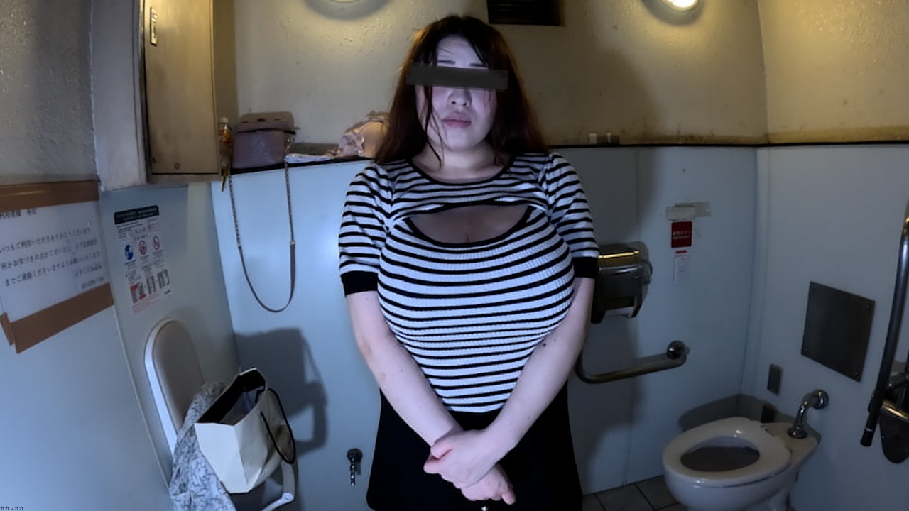 FC2PPV 4578299 Hardcore Sex In A Public Toilet With A Busty J-Cup Pregnant Woman☆ [cen]